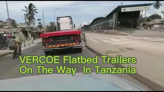 Pritschen-/Kipp-/Container-/Pritschen-/Tieflader-/Skelett-/Pritschen-Sattelauflieger für LKW-Anhänger